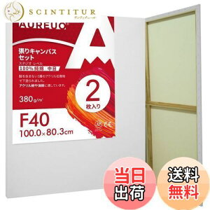 yzAUREUO LoX Zbg F40 (100cmX80.3cm)  100Rbg 2 S Gp |pGn G p ʉEGEANp