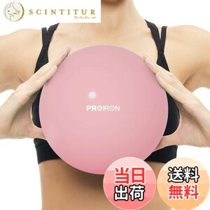 �y���������zPROIRON �s���e�B�X�{�[�� 25cm �����i�{�[�� �M���j�N�{�[�� �_�炩���{�[�� �G�N�T�T�C�Y�{�[�� �M���j�N�{�[���� ���� �F