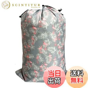 yzFutakuchi  В ^ 񂿂Ⴍ В TCY 񂿂Ⴍ  В|[` [ sp |[` Gꂽ  [|[` gx|[` s |[` ho C 