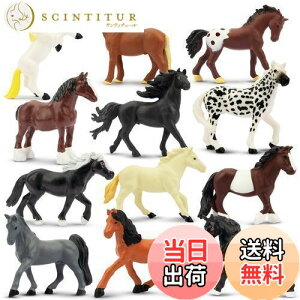 yzTOYMANY tBMA ~jntBMA ~jtBMAZbg AȓtBMA 12PCS nu nf z[X q_ ~jf lC  ߋ a