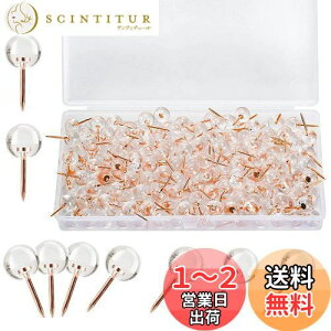 yzEUSTACE e s 100 т傤  {[ ߋ ەe iB AeB[N \t@[ V[Y hA  9.5 x 20mm [{bNX