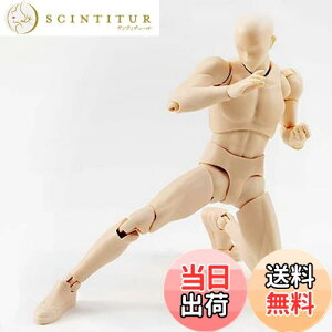 yzfbTf fbTl`f̖ jG}lLtBMAf ffbT fl`1/12  X^ht h[^Cv f ޗKp (jAF)