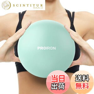 �y���������zPROIRON �s���e�B�X�{�[�� 25cm �����i�{�[�� �M���j�N�{�[�� �_�炩���{�[�� �G�N�T�T�C�Y�{�[�� �M���j�N�{�[���� ���� 3�F