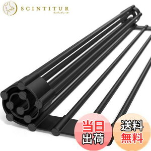 【送料無料】【Latuna ラチュナ】 水切りラック シンク上 食器 水切り 水切りカゴ 黒 くるくるスッキリラック 水切りマット 抗菌 コンパクト 錆びない シリコン シンク 省スペース プレート