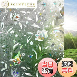 yzRabbitgoo  ߂V[g XehOX V[ ͂鑋KXtB O猩ȂptB ڒܕsv ߂ UVJbgO΍ ȑ Ռf