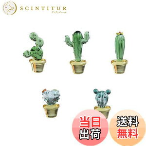 yzMollytek 킢KX׍HK X T{e KX u ~j l KX u JN^X KX A ԓu 5 Be  蕨