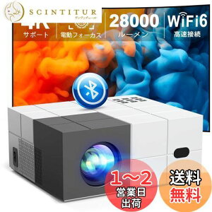 yzyߘa6N11ŐVdtH[JXᑛ100"XN[tƒp?rWlXpz YOWHICK vWFN^[ ^ 28000LMPx WiFi6uڑ `␳ 4KΉ 1080PtHD o