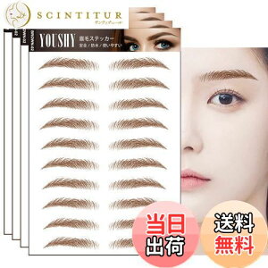 【送料無料】YOUSHY つけ眉毛タトゥーシール 眉 眉毛 アートメーク メイクシール 眉毛 ステッカー【40ペア】たとぅー 4d6dナチュラルまゆげ 貼る眉毛 アイブロウ 消えない 防水 持続的落ちな眉