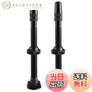 yzTRIWONDER `[uXou  ou`[uX ouRA X[p[ou ]ԃGAmY }EeoCN [hoCN Bicycle Tubeless Presta Valves (2P)iubN, 6