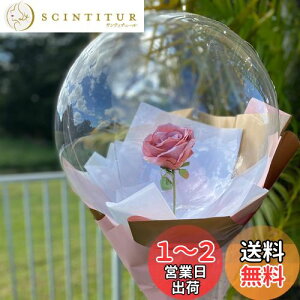 【送料無料】【LEISURE CLUB】10個入り 広口 透明バルーン クリアボボボバルーン アクアバルーン クリアバルーン バルーンフラワー ブーケ 花束 PVCバルーン 風船 透明な風船 ラテックス風船 セ