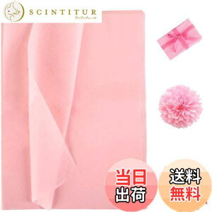 yzNALER t sNsN bsOy[p[bsO Mtg v[g DIY  蕨 |p Ntg Y i 38x50 60