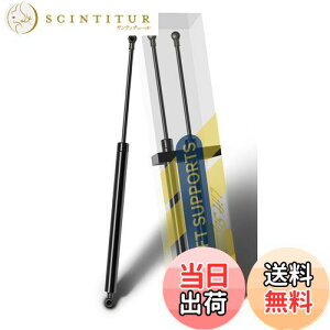 yzAmile 2013N-2019N fCY DAYZ  B21W AA0 gbNA_p[ A_p[ AQ[h_p[ gbN_p[ VbNAu\[o[ KXXvO _p[ obN