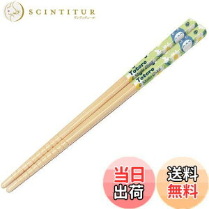 yzXP[^[(Skater)  | 16.5cm gg fCW[ Wu { ANT2