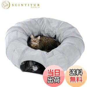 yzPAWZ Road Lgl Lbggl ~ h[ic^  lC ^Cgl O xbh L̑   a25CM ܂肽 XgXU ^s - O[ h[