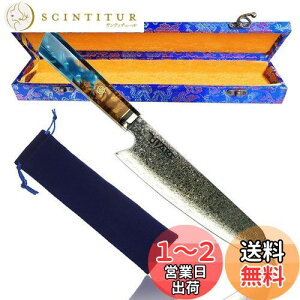 yzUtaki VFtiCt VG10 67w_}XJXvtFbVi  200mm YfXeXX`[(sdd059z)