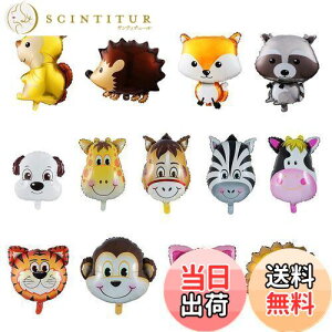 yzKesote D o[  A~ 13Zbg  CI a o[Xf[ Rt