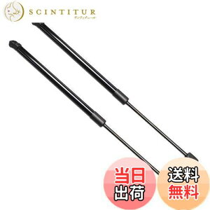 yzXIANGSHANG ACVX 10n ZNM10G ANM10G ANM10W ZGM10W ZGM10G AQ[g_p[ obNhA_p[ Anb`_p[ gN_p[ ԌΉ pi 2{g [sAi]