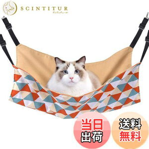 yzL nbN Blueekin LbgnbN q\ |GXe 56cm x 46cm ω׏d10KG 傫 ybg xbh ˂nbN P[Wp ʋC ڂ Vя v 