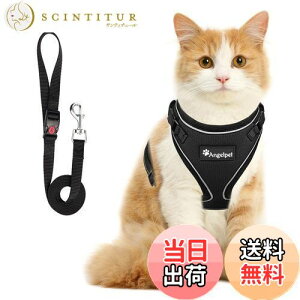 yzL Lp n[lX  L ˂ lR qL q ^ U o Ȃ xXg \tg y ʂ}WbNe[vő TCY߉ 锽 ʋCbV