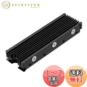 yzM.2 2280mm SSDʃq[gVNAPC / PS5pT[}VRpbhtM.2 PCIE NVMe SSD ()