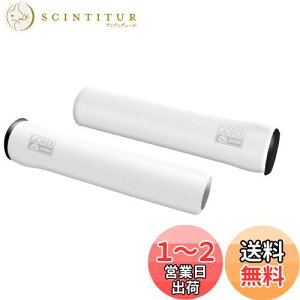 yzGORIX SbNX ]ԃVRObv J[9F (GX-GPSR) (zCg)