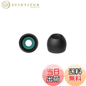 �y���������zJVC�P���E�b�h JVC EP-FX10MS-B �����p�C���[�s�[�X �X�p�C�����h�b�g++ 4���� MS�T�C�Y �u���b�N