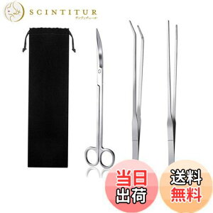 yzYINKE  sZbg & nT~ 3_Zbg XeX p ֗ @\ ٗp p[ܕt