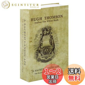 【送料無料】Jssmst(ジェスマット) 辞書型金庫 隠し金庫 ダイヤル式 24x16x5.5cm 防犯収納 CB0901M (七弦琴)