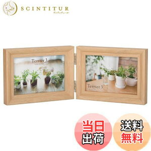 �y���������z�n�N�o HAKUBA �ؐ� �t�H�g�t���[�� �e���A3 L�T�C�Y 2�� ���R �i�`������ FWTR3-NTL2Y