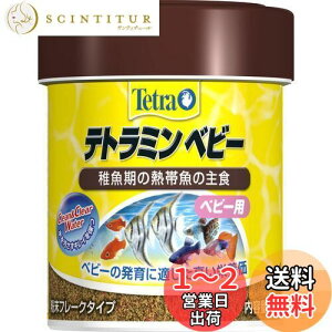 yzeg (Tetra) eg~ xr[ 30g t̔Mы̎H LCۂ H׎ct Mы GT t[Nt xr[ GT pE_[