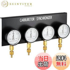 yzfCgi(Daytona) oCNp 4A oL[Q[W Lu^[ / ͈-100~100kPa A^b`gt 44645