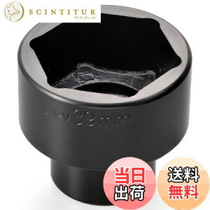 yzfCgi(Daytona) oCNp Nb`bNibg\Pbg ݊p1/2 39mm 72173