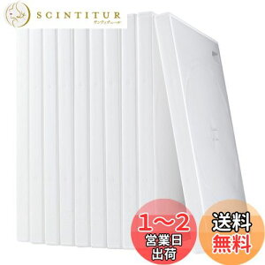 yzT_CNg DVDP[X 2[ 10Zbg DVD g[P[X zCg 200-FCD033W