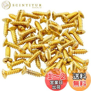 yzMusiclily sbNK[hprX 3x12mm tF_[X^ClW Xgg/eLX^[GLM^[ p AS[h(50{)