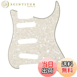 yzMusiclily 11 SSS XggsbNK[hFender USA/LVRX^_[hSTXggLX^[GLM^[pA4Pp[`gp[