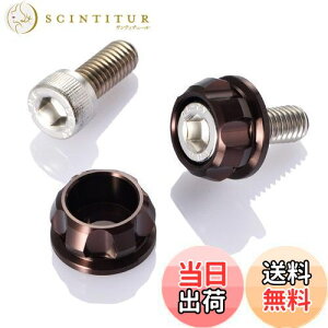 yzfCgi(Daytona) PREMIUM ZONE(v~A][) oCNp io[v[g {g M6×15mm z_[Zbg 2 uY 91954