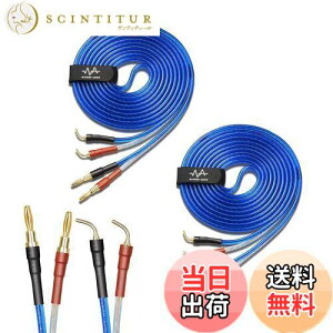 yzyoinz 2{1g LRZbg yoiivOHρz by yWYVERN AUDIOz 24kbL vO Xs[J[ P[u in_ς By WYVERN AUDIO (oiivO̐jvO / 