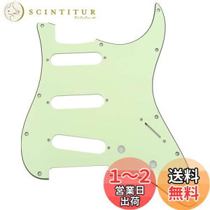 yzMusiclily 11 SSS XggsbNK[hFender USA/LVRX^_[hSTXggLX^[GLM^[pA3P~g