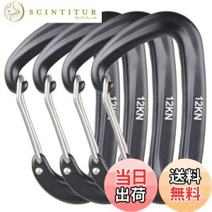 yzAzarxis bNJri ω׏d 12KN(1200kg) oRt A~ Jri DO bLO L[O Eh~ y @\ nbN Lv AEghA