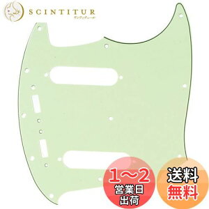 yzMusiclily Pro 12 X^OX^CsbNK[h Fender American Mustang GLM^[pA~gO[3P