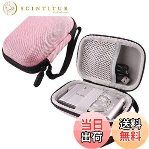 yz\j[ SONY Cyber-shot DSC-W830 DSC-WX500 Cyber-shot WX350 fW^J p[P[X-WERJIA (sN)