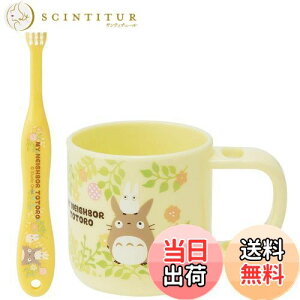 yzXP[^[(Skater) X^ht Rbv uVZbg uV Rbv ƂȂ̃gg X^WIWu KTB5