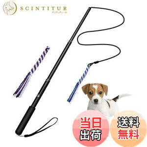 yzpފƂ [v   hM[} Pp p ފƌ^ OߐLkł 2pt 3`5Jɔzς