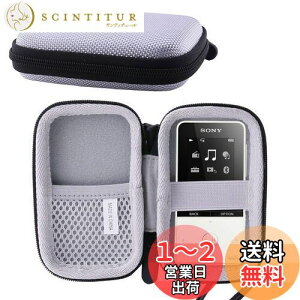 【送料無料】ソニー SONY ウォークマン NW-S315/NW-S313/NW-S13 保護対応収納ケース -waiyu JP (グレー)
