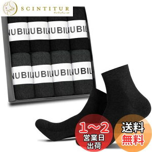 yz[NUBILY] C Y rWlX\bNX 8Zbg  RۖhL ʋC 24-28cm CIH z ϖՐ  O[ lGKp