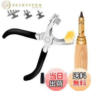 yzWeccie U[Ntg TCg Hڑł ڑł 3 ` H Â 𗧂ĂȂ TCg U[Ntg c[ v׍H S