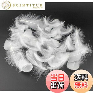 yzKingsie VR H 100Zbg tFU[V[ HV[ |f  EGfBO o (zCg)