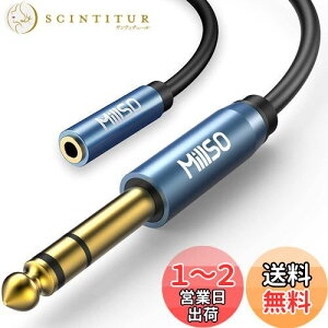 yzMillSO 6.35mm 3.5mmϊ 3m XeI~jvOiXj˃XeIWvOiIXjTRS 6.35mmtHvO AvwbhzϊP[u WvO ~jvO ϊ bLi30