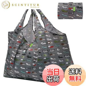 yz[GOKEI] GRobO obO ܂肽 e hf y RrjobO RpNg [ ≘ɂ 