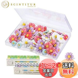 【送料無料】RuiChy プッシュピンタック ストレージ ボックス 付き 装飾 フラワ フラワーサムタック サム タック カラフル マーキングピン ホワイト ボード コルク ボード 写真 壁 地図 掲示板